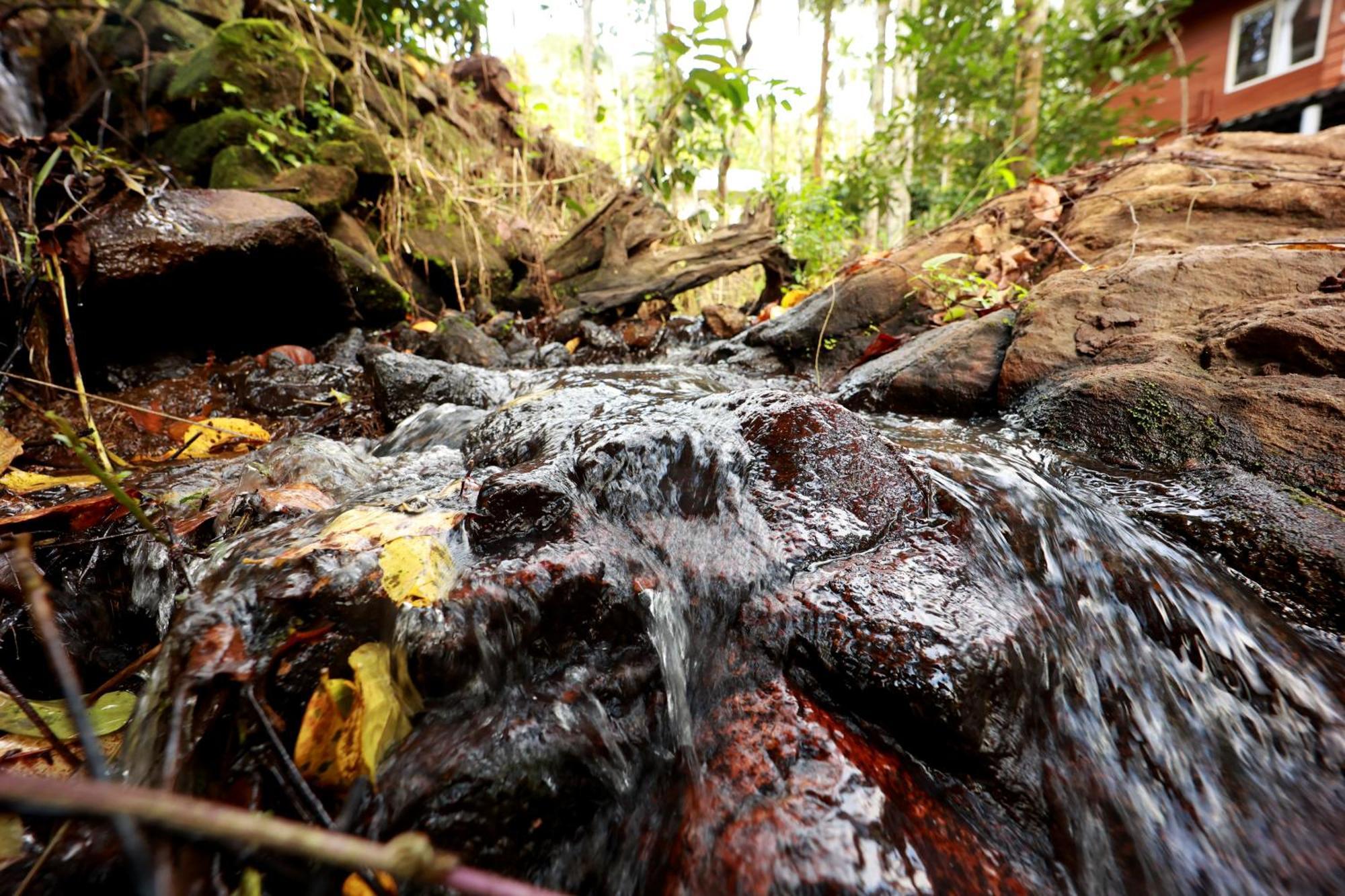 Cave Valley Wayanad Ambalavayal Εξωτερικό φωτογραφία